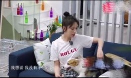 娱乐圈爆料张铭恩,真相与争议交织